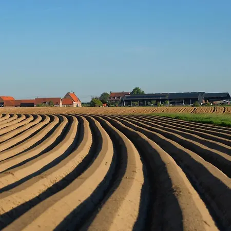 Hoeve Rooden Duifhuize Feriehus Sint-Denijs